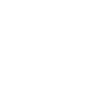 ENORISE morphee-icon