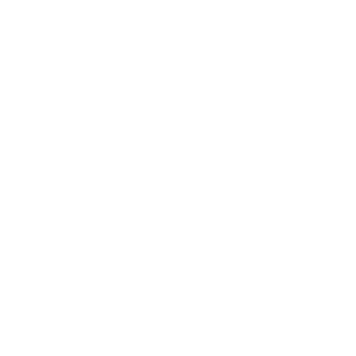 ENORISE virtual-dynamics-icon